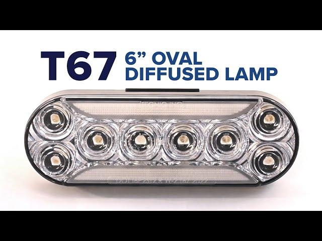 Model Comparison: TecNiq T67 6" Oval Lights  | LED Lighting Solutions by TecNiq, Inc