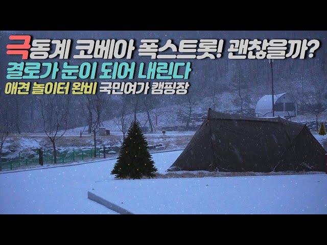 Korean Family Camping. A Long Journey to Find White Christmas. Dog Camping