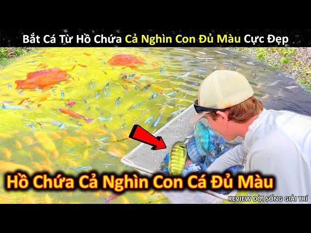 Lần Đầu Bắt Cá Từ Hồ Chứa Cả Nghìn Con Rực Rỡ Đủ Màu Cực Đỉnh || Review Giải Trí Đời Sống