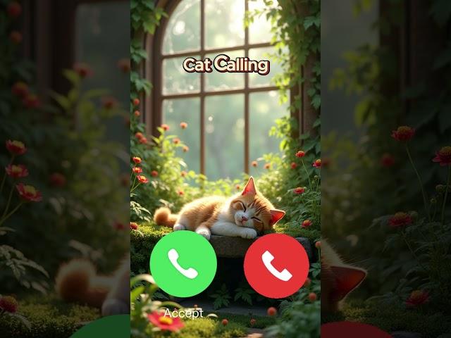 Cat Calling – Ring Ring Meow!  #Shorts #Viral #calling