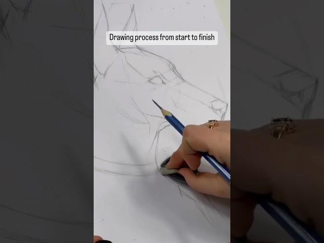 Drawing Process from start to finish