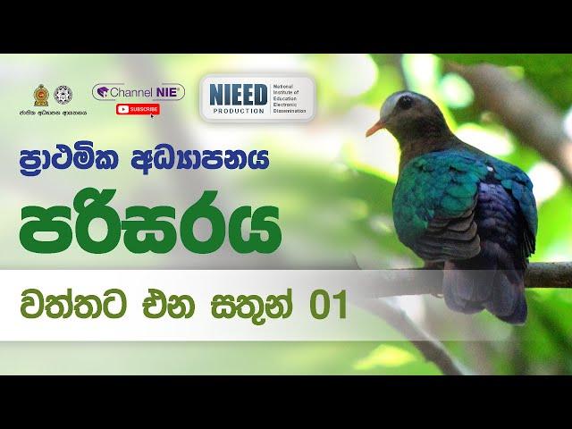 වත්තට එන සතුන් 01 - 05 ශ්‍රේණිය- (පරිසරය)