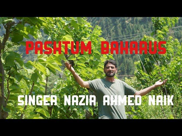 Pashtum Baharus Posh Chaman || Khah New Song || Nazir Ahmed || Khari Banihalli || LyricsBy Gh Hassan