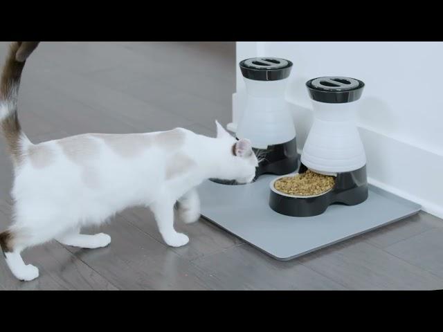 PetSafe® Healthy Pet Food Station™ - How To Clean & Assemble