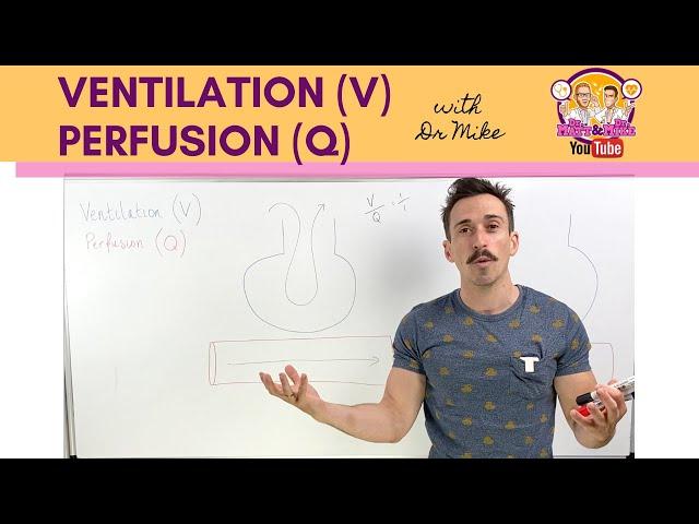 Ventilation (V) Perfusion (Q) Coupling