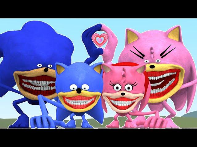 THE SONIC TAPES FAMILY GAVE BIRTH NEW BABY AMY & SONIC In Garry's Mod