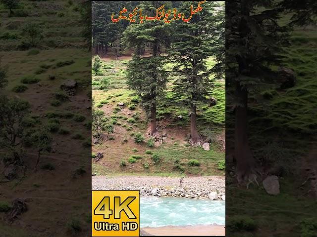 Beautiful Swat Valley To Kalam Motorcycle Vlog | The Switzerland Of Pakistan, SWAT KALAM Valley