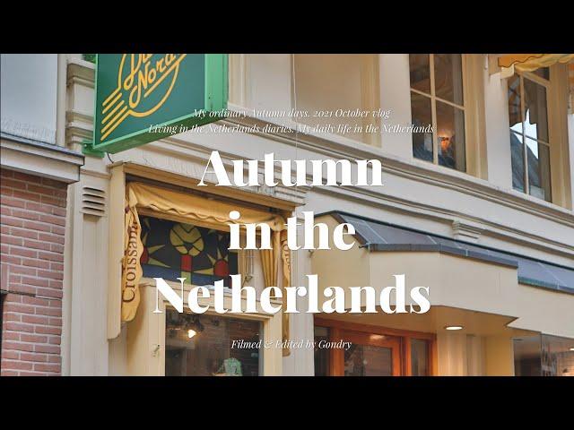 Netherlands vlog / Home decoration for winter, Buying a plant🪴, museum, The last week of October