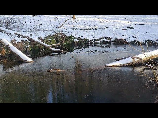 Wyrastałem w cieniu RIESE - domek "baby jagi"