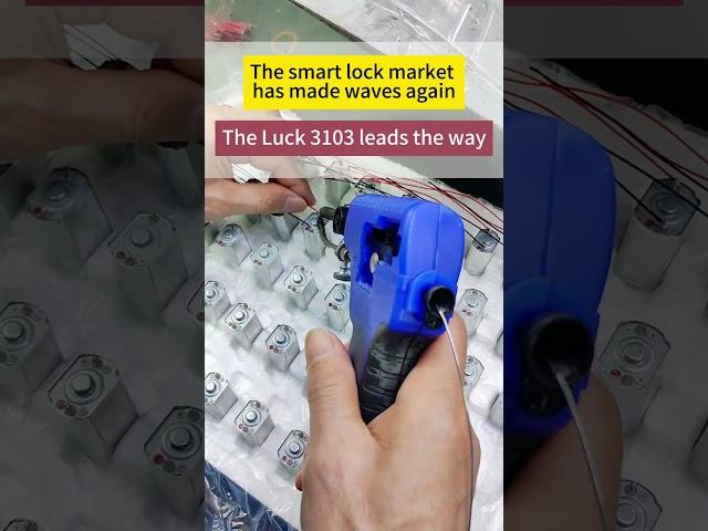 Electronic fingerprint lock App smart door lock