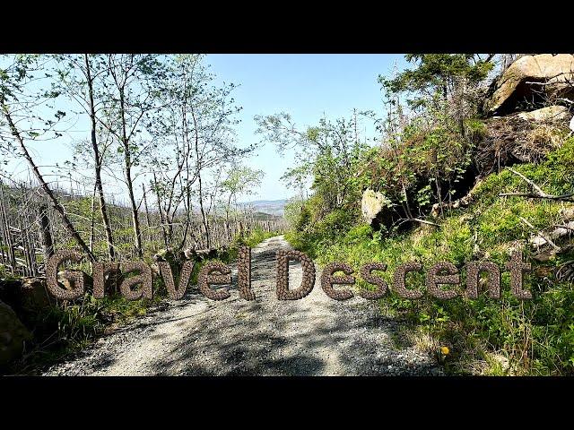 Gravel Descent | Brocken - Ilsenburg | Raw and Uncut