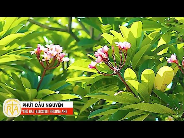 Phút Cầu Nguyện, Thứ Hai 16/06/2025: Vượt qua nỗi sợ