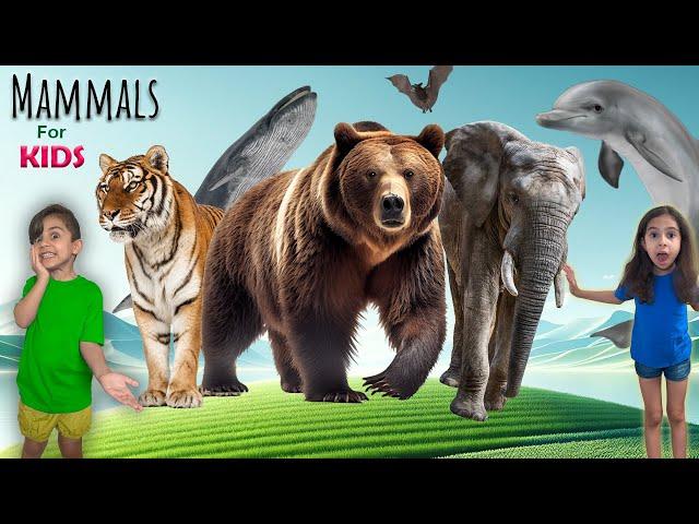 Educational Animal Video For Kids | Learning Land, Sea, and Sky Mammals | Atrin & Soren's Adventure