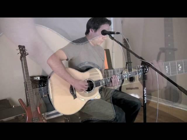 Three Days Grace - Never Too Late Acoustic Cover