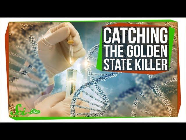 How DNA Analysis Led Police to the Golden State Killer