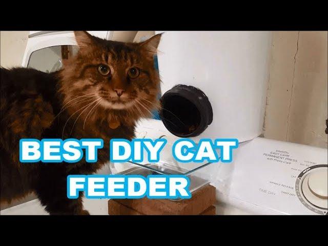 DIY CAT FOOD DISPENSER Best automatic feeder built to LAST