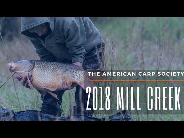 THE AMERICAN CARP SOCIETY - 2018 MILL CREEK SOCIAL - TEXAS CARP