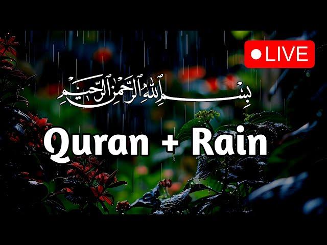 Live Best Quran Recitation with Rain | تلاوة رائعة مع صوت المطر | Last 10 Surahs.