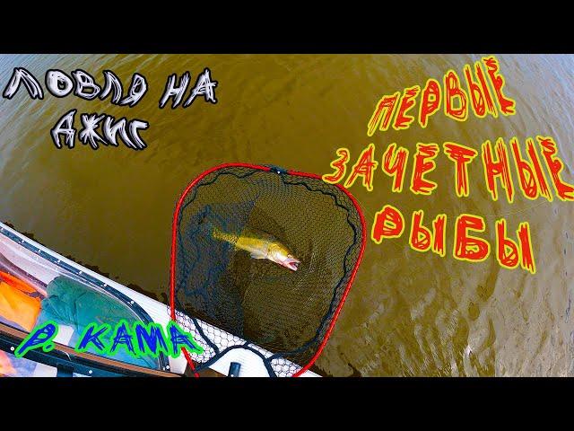 Джиг. Судак. Берш. Начали ТЕСТ ПРИМАНОК от подписчика!