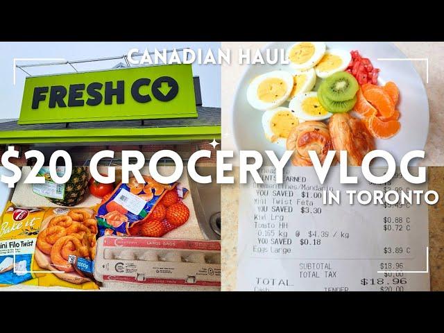 $20 Canadian Grocery Haul | Budget & Meal Challenge #groceryvlog #Groceryonabudget