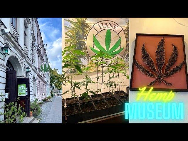 Hemp Museum in Berlin I 4K I Hanf Museum