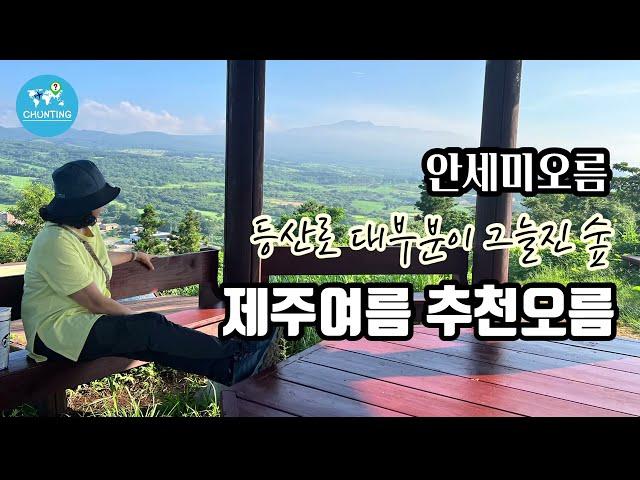 [제주도 오름]제주시에서 가까운 진짜 쉬운오름이지만 전망은 끝내주는 오름 추천/Jeju oreum