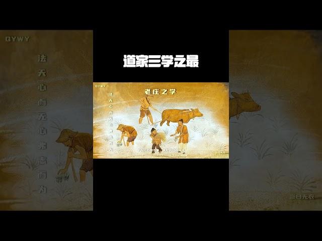 道家三学！ 何为道家三学之最！老庄？黄老？杨朱？#超燃混剪 #历史