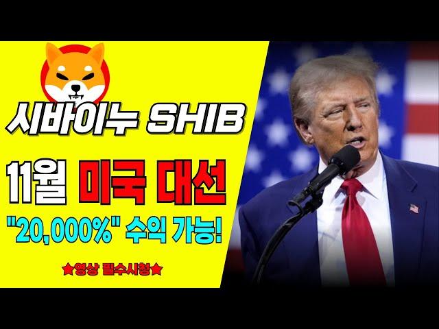 [시바이누 코인] 11월 미국 대선! 과감한 베팅 가능하다!? "20,000%" 수익 가능!