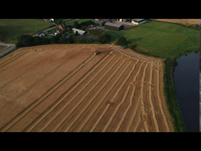 Harvest time