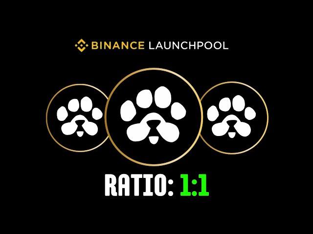 Paws Airdrop Binance Listing Confirm | Paws Airdrop Ratio |