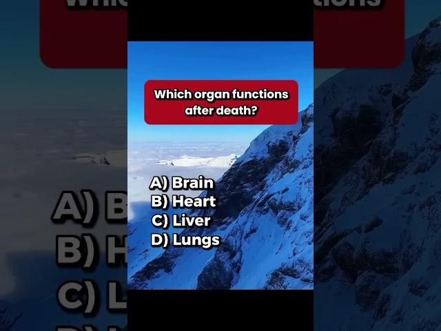  QUIZ  Entertain The Brain  Can you get 100%?Comment ⬇️ #shorts