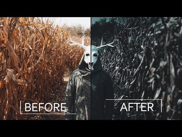 RISE -  VFX Before & After Reveal | Full Music Video 