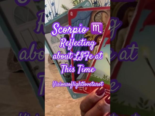 Scorpio ️ Youre REFLECTING They're Overwhelmed Daily January 9th 2024