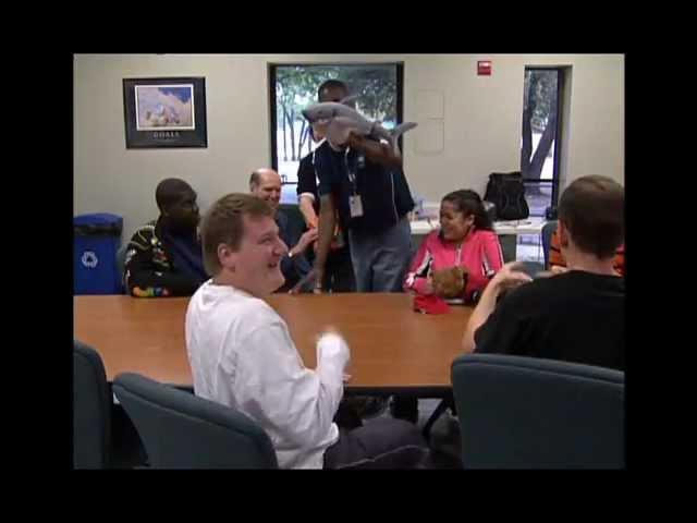 The Irving Public Library Therapeutic Reading Program