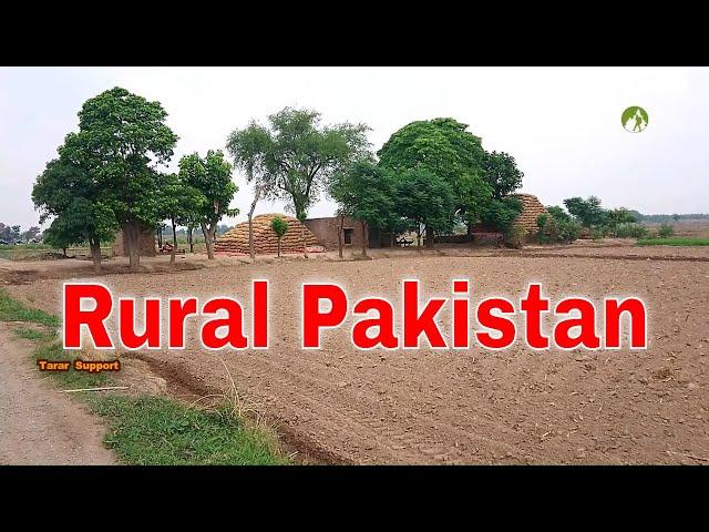 Village Life In Pakistan Daily Routine Work in 2020