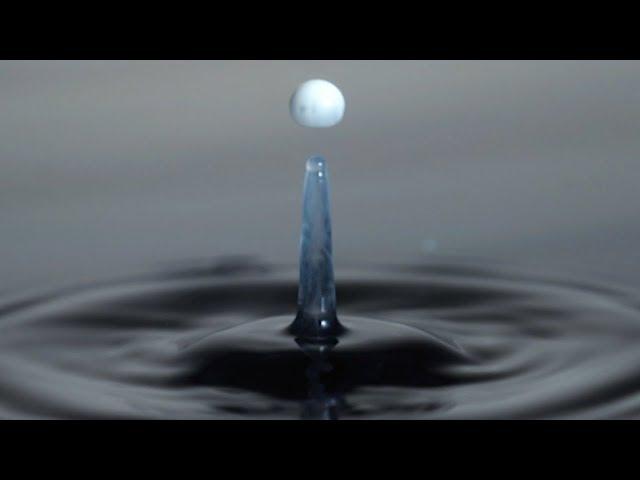 What is Surface Tension? | Richard Hammond's Invisible Worlds | Earth Science