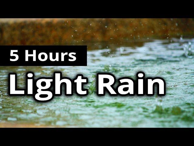 ASMR Rain - Delicate Light RAIN for 5 HOURS - Sleep Sounds + Relaxation