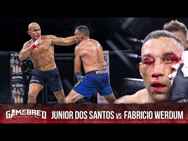 Gamebred Bareknuckle 5: Junior Dos Santos vs Fabricio Werdum