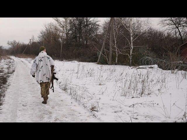 On Ukraine with Praise of Folly