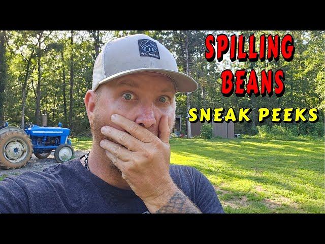 YOU HAVE BEEN WAITING FOR THIS |tiny house, homesteading, off-grid, cabin build, DIY HOW TO sawmill
