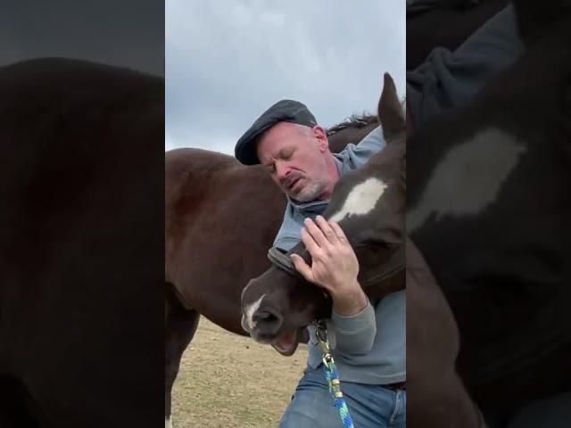 HORSE IN PAIN  CAN'T LOWER HEAD!   Animal Chiropractor