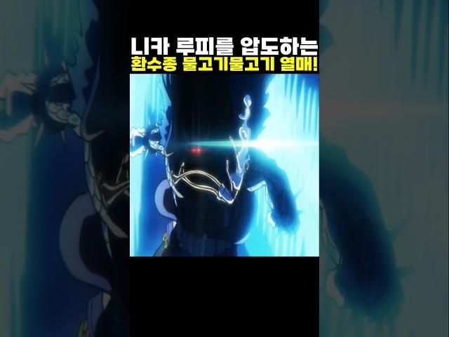 니카 루피를 압도하는 환수종 물고기물고기 열매! #onepiece #원피스