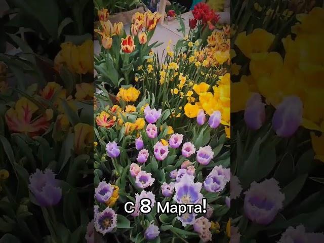 С 8 Марта!