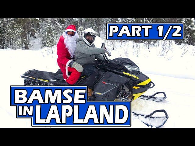 Bamse in Lapland 1