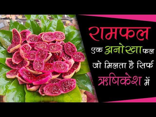 रामफल RamFal Fruit From Rishikesh | Indian Street Food | Healthy Ayurveda Fruit | Food in Rishikesh