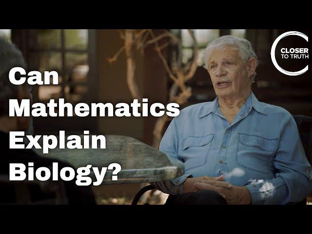 Stuart Kauffman - Can Mathematics Explain Biology?