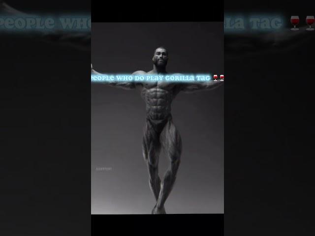 #gorillatag #vr #gorillatagvr #k9 #tttpig #TC
