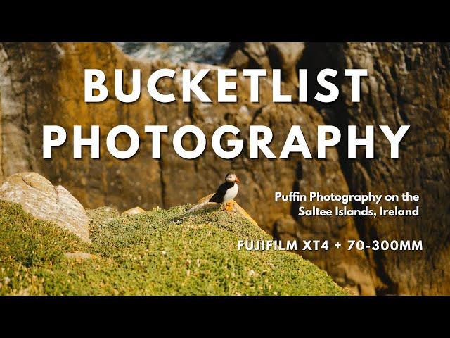 Bucketlist PUFFIN Photography in Ireland! Fujifilm XT4 + 70-300mm.