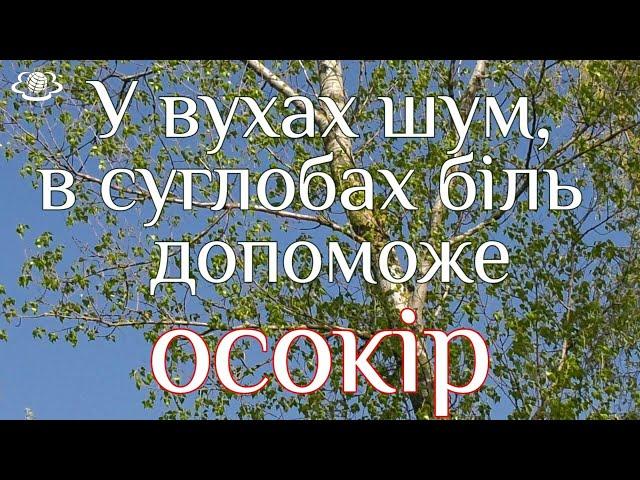 У вухах шум, в суглобах біль  - допоможе ОСОКІР