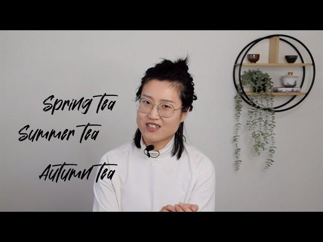 Tea Seasons | what is spring tea, summer tea, or autumn tea? | ZhenTea